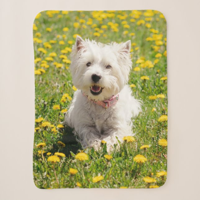 Couverture Sherpa Animaux de bébés cutest | Chien Westin en Dandelio (Devant)
