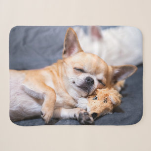 Couverture Sherpa Animaux de bébés cutest Chihuahua Chig aux cheve