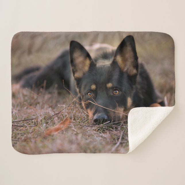 Couverture Sherpa Animaux de bébés cutest | Chiot berger allemand (Devant (Horizontal))