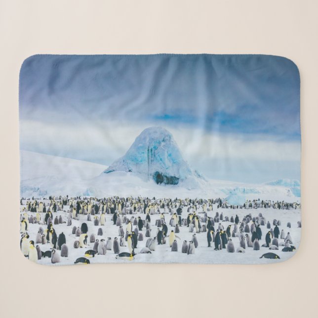 Couverture Sherpa Animaux de bébés cutest | Colonie de l'empereur Pe (Devant (Horizontal))