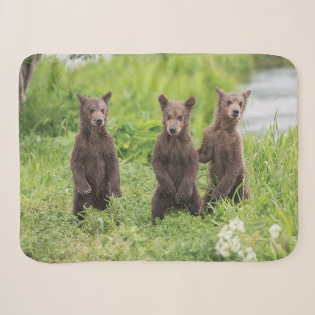 Couverture Sherpa Animaux de bébés cutest | Cubes d'ours Brown Kamch (Devant (Horizontal))