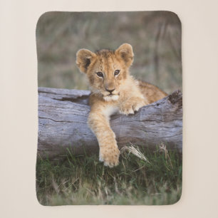 Couverture Sherpa Animaux de bébés cutest Cute Lion Cub