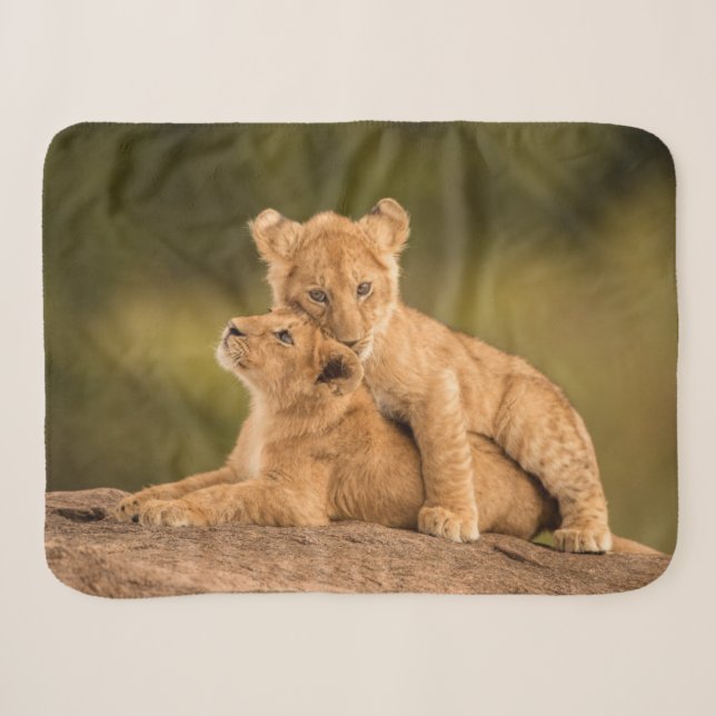 Couverture Sherpa Animaux de bébés cutest | Deux Lions Cubs (Devant (Horizontal))