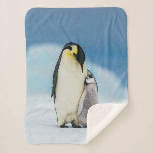 Couverture Sherpa Animaux de bébés cutest Empereur Penguin Chick