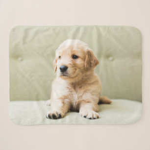 Couverture Sherpa Animaux de bébés cutest   Golden Retriever Puppy