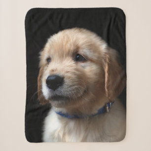 Couverture Sherpa Animaux de bébés cutest   Golden Retriever Puppy