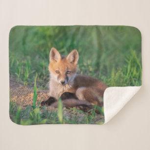 Couverture Sherpa Animaux de bébés cutest Kit Red Fox Relaxant