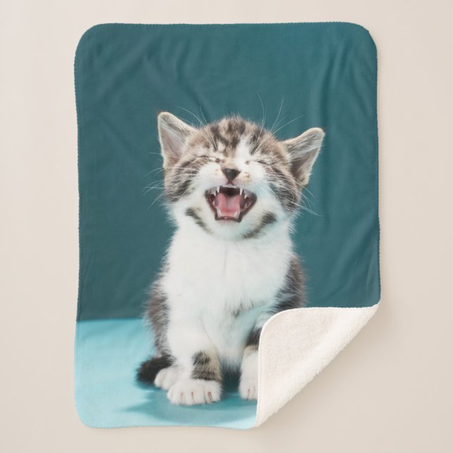 Couverture Sherpa Animaux de bébés cutest | Mewing Baby Kitten (Devant)