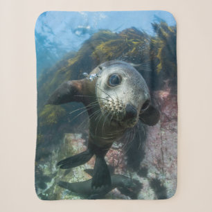 Couverture Sherpa Animaux de bébés cutest Phoque sous-marin Cape F