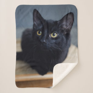 Couverture Sherpa Animaux de bébés cutest Portrait d'un chat noir