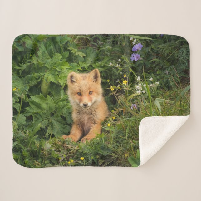 Couverture Sherpa Animaux de bébés cutest | Renard rouge à Umnak Ala (Devant (Horizontal))