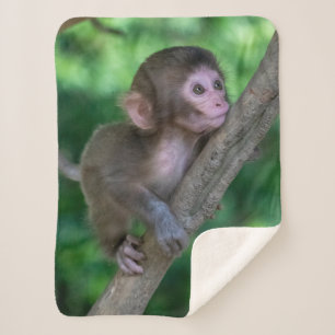 Couverture Sherpa Animaux de bébés cutest Singe bébé