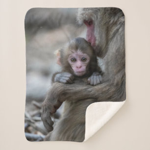 Couverture Sherpa Animaux de bébés cutest Singe et bébé japonais