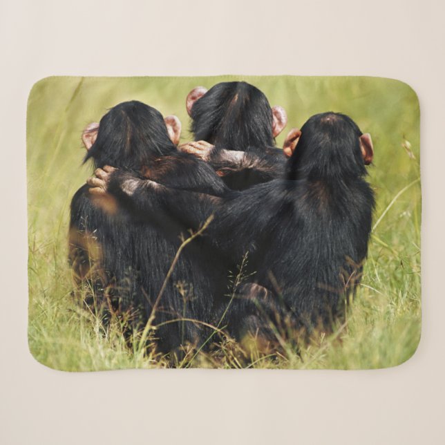 Couverture Sherpa Animaux de bébés cutest | Trois chimpanzés en trai (Devant (Horizontal))