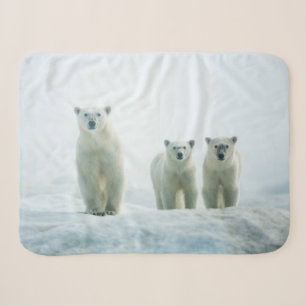 Couverture Sherpa Animaux de bébés cutest Trois jeunes ours polair