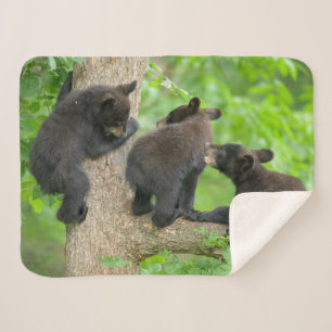 Couverture Sherpa Animaux de bébés cutest Trois jeunes petits ours