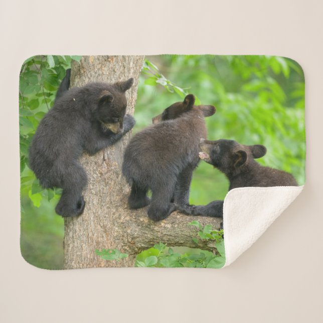 Couverture Sherpa Animaux de bébés cutest | Trois jeunes petits ours (Devant (Horizontal))