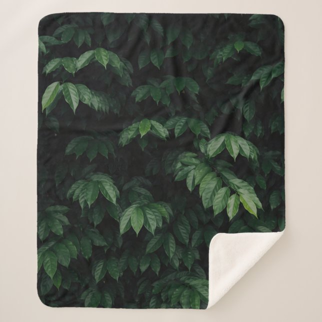 COUVERTURE SHERPA ARBRE VERT (Devant)