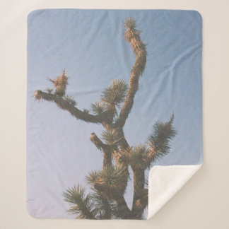 COUVERTURE SHERPA ARBRE VERT ET BROWN SOUS LE CIEL BLEU