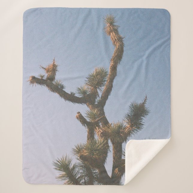 COUVERTURE SHERPA ARBRE VERT ET BROWN SOUS LE CIEL BLEU (Devant)