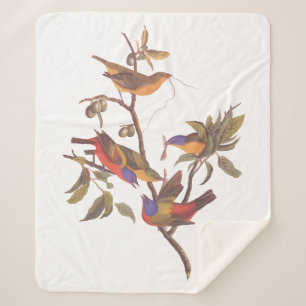 Couverture Sherpa Audubon Painted Bunting Birds is Wild Plum Tree