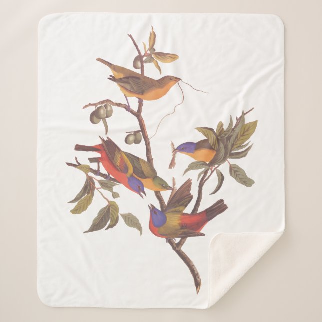 Couverture Sherpa Audubon Painted Bunting Birds is Wild Plum Tree (Devant)