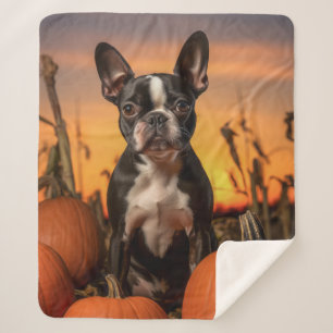 Couverture Sherpa Automne Boston Terrier
