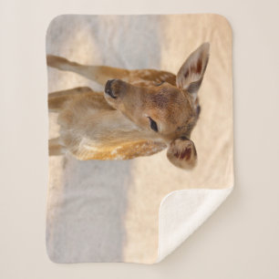 Couverture Sherpa Baby Deer