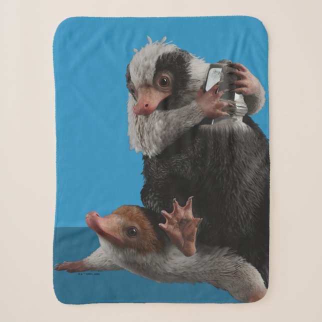 Couverture Sherpa Baby Nifflers Find A Prize (Devant)