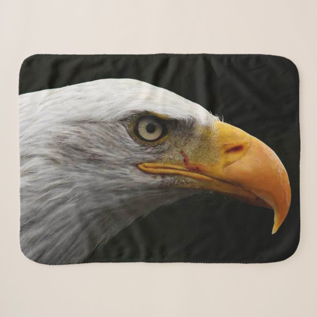 Couverture Sherpa Bald Eagle sbcna (Devant (Horizontal))