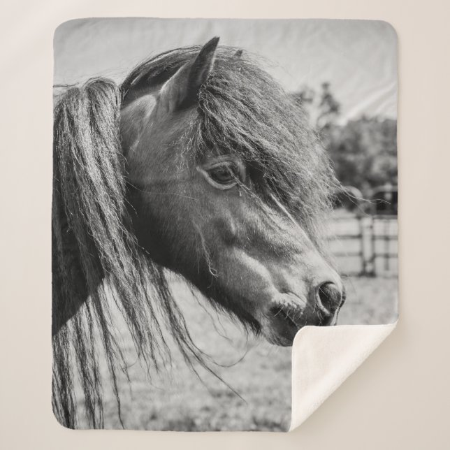 COUVERTURE SHERPA BEAU CHEVAL (Devant)