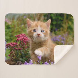 Couverture Sherpa Bébé mignon Chat Kitten Animal de compagnie joua