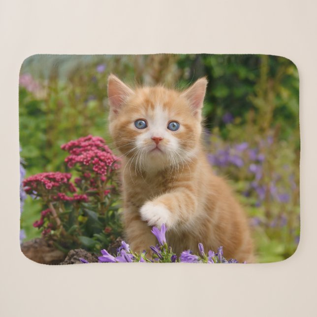 Couverture Sherpa Bébé mignon Chat Kitten Animal de compagnie jouant (Devant (Horizontal))