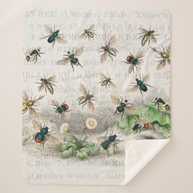 Couverture Sherpa Bee Honey Travailleur Queen Bees Antique (Devant)