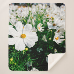 Couverture Sherpa Belle fleurs de cosmos blanc fleurissant dans la g