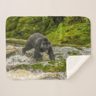 Couverture Sherpa Black Bear Fishing Qua Creek Colombie-Britanniqu
