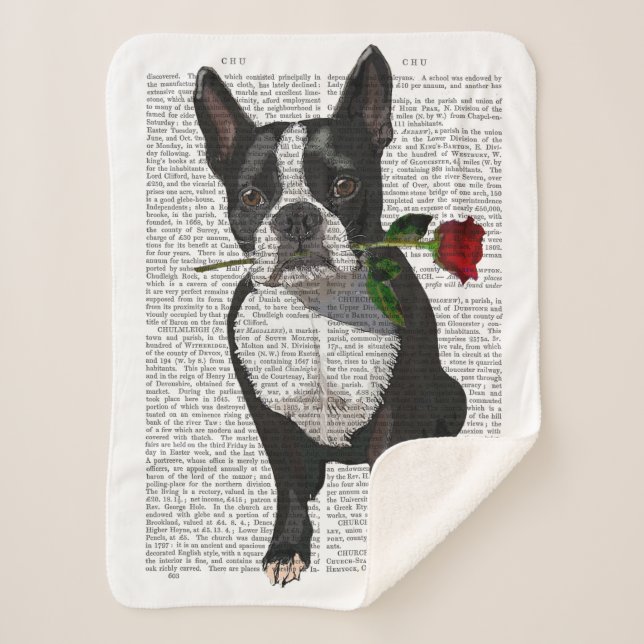 Couverture Sherpa Boston Terrier avec Rose dans la bouche (Devant)