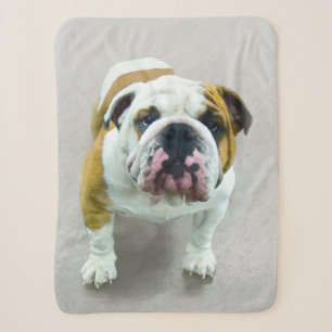 Couverture Sherpa Bulldog Painting - Joli art original chien