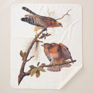 Couverture Sherpa Buse à épaulettes roux Audubon Oiseau de proie