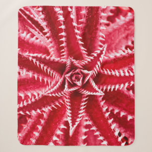 Couverture Sherpa cactus d'épine, motif naturel, backgrou rouge abst