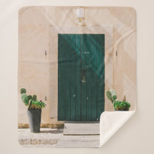 COUVERTURE SHERPA CACTUS VERT PLANTE PRÈS DE PORTE VERTE