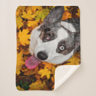 Couverture Sherpa Cadeaux de Chien de Corgi| Chien de Corgi
