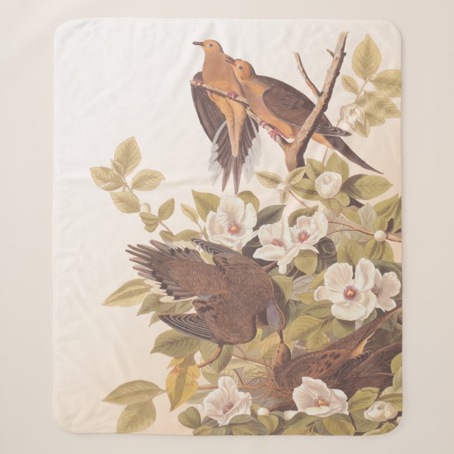 Couverture Sherpa Carolina Pigeon ou Dove en deuil (Devant)