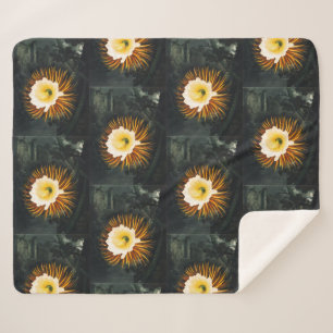 Couverture Sherpa Céréus gothique vintage fleurissant la nuit