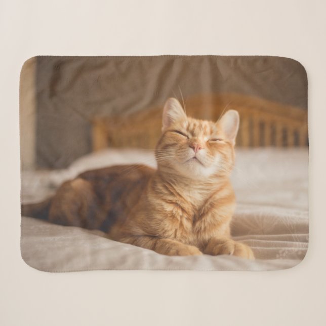 Couverture Sherpa Chat somnolent des images | de Getty (Devant (Horizontal))