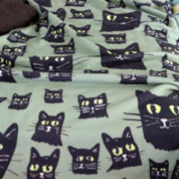 Chats noirs éffrayants
