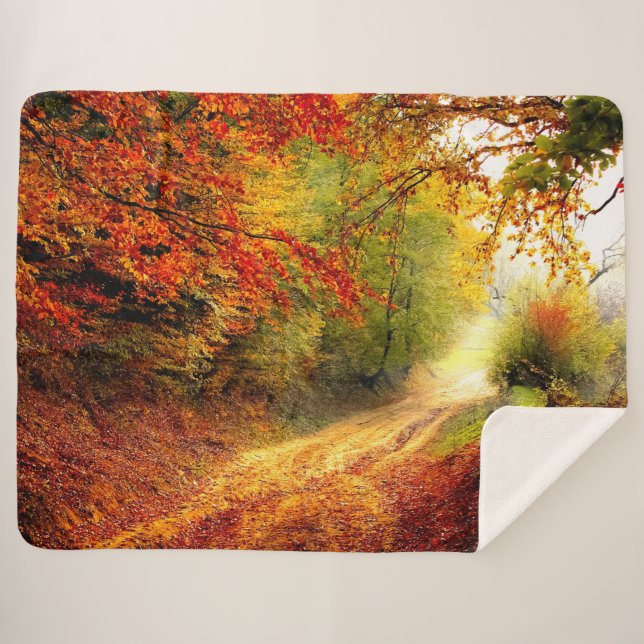 Couverture Sherpa CHEMIN AUTUM dans les BOIS (Devant (Horizontal))