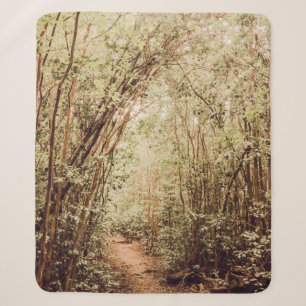 COUVERTURE SHERPA CHEMIN ENTOURÉ D'ARBRES GRANDS ET VERTS