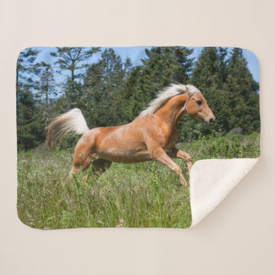 Couverture Sherpa Cheval Palomino courant à travers une prairie