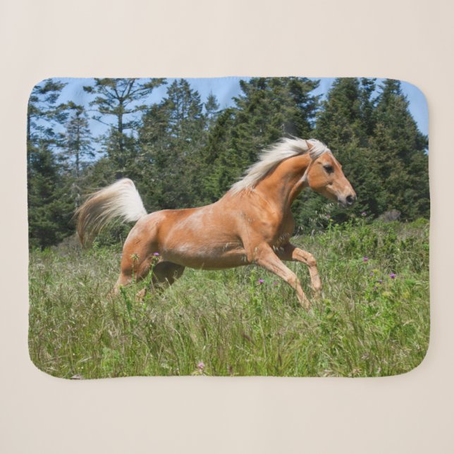 Couverture Sherpa Cheval Palomino traversant une prairie (Devant (Horizontal))